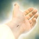 Juan 20, 19-31 – II Domingo de Pascua