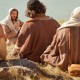 Lucas 10, 1-12. 17-20 – XIV Domingo del tiempo ordinario