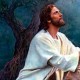 Lucas 11, 1-13 – XVII Domingo del tiempo ordinario
