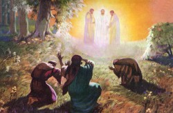 21 Feb 2016 – La Transfiguración – Lc 9, 28b-36