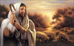 7 may 2017 - Jesús, líder y buen Pastor - Jn 10, 1-10