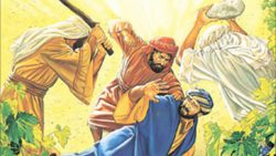 8 oct 2017 - El Señor reclama frutos de justicia y paz - Mt 21, 33-46