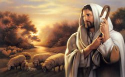22 abr 2018 - Pastores en sintonía con Jesús - Jn 10, 11-18