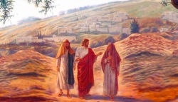 Lucas 24, 13-35 - 3er Domingo de Pascua