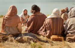 Mateo 10, 26-33 - 12º Domingo durante el año