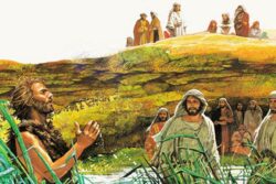 Mateo 24,37-44 – Domingo 2º de Adviento