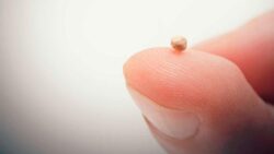 Lucas 17, 5-10 - XXVII Domingo del tiempo ordinario