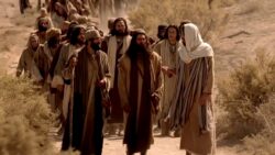 Mateo 11, 2-11 - III Domingo de Adviento Mateo 11, 2-11 - III Domingo de Adviento